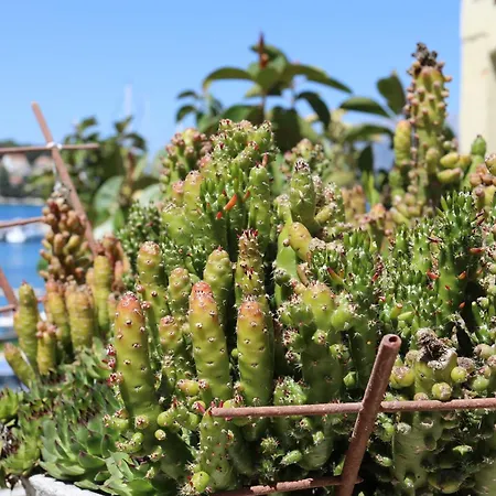 By The Sea Lumbarda, Korcula - 4442 Lägenhet *