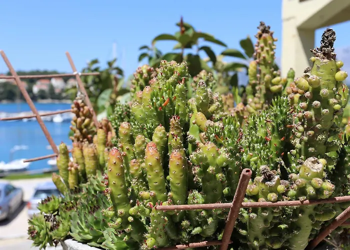 By The Sea Lumbarda, Korcula - 4442 דירה *